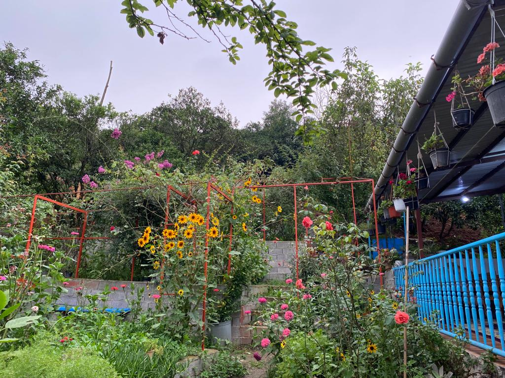 نمای بیرونی ساختمان
