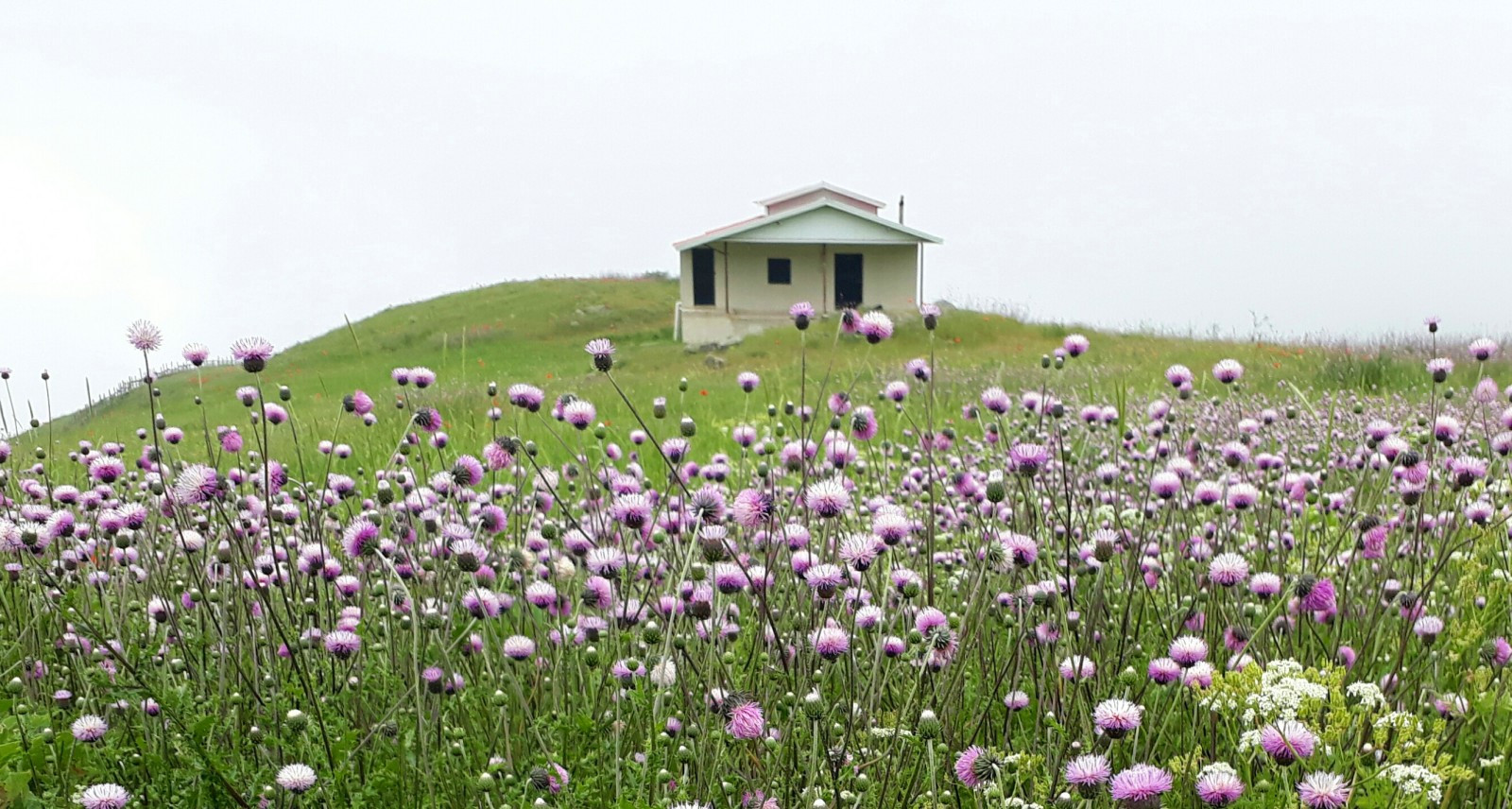نمای زیبای واحد و محوطه اطراف