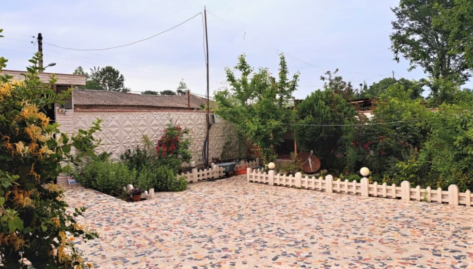 حیاط