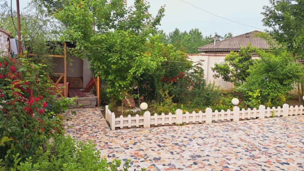 حیاط