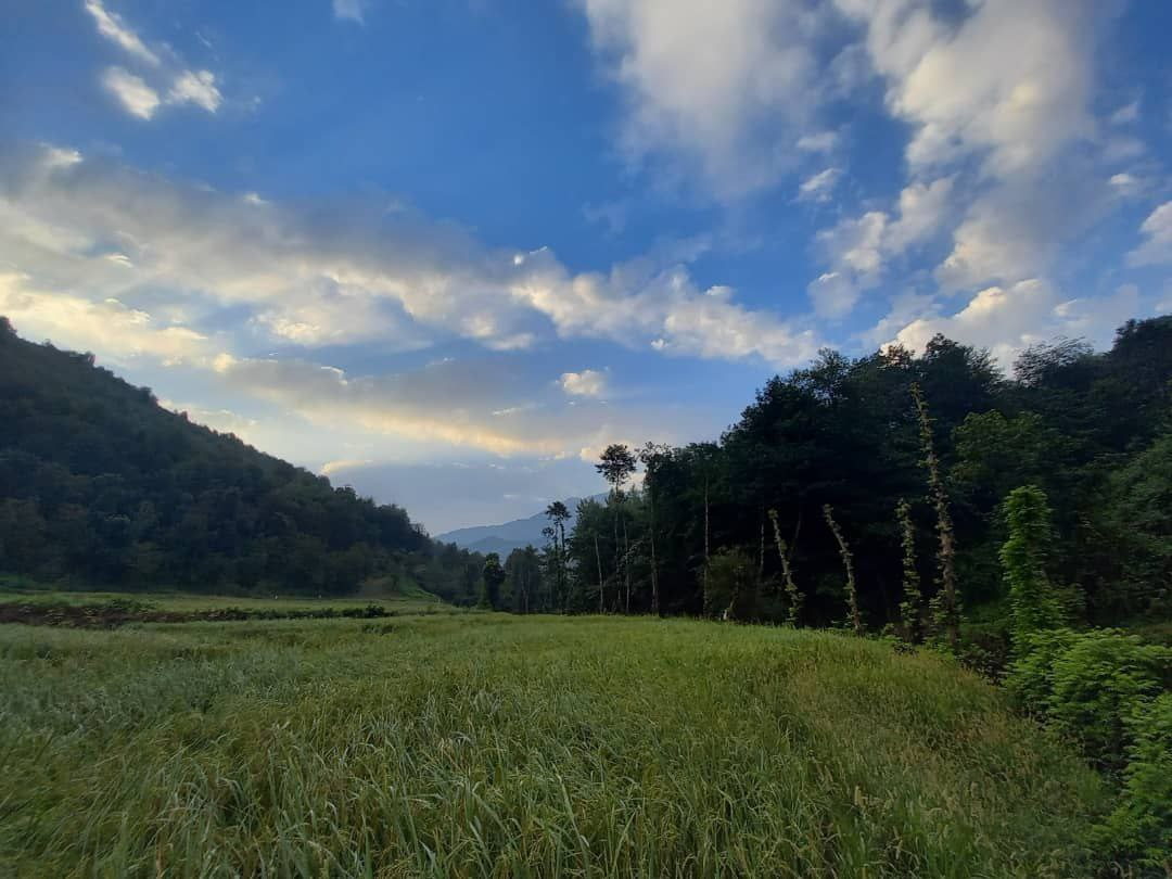 طبیعت سرسبز روستا
