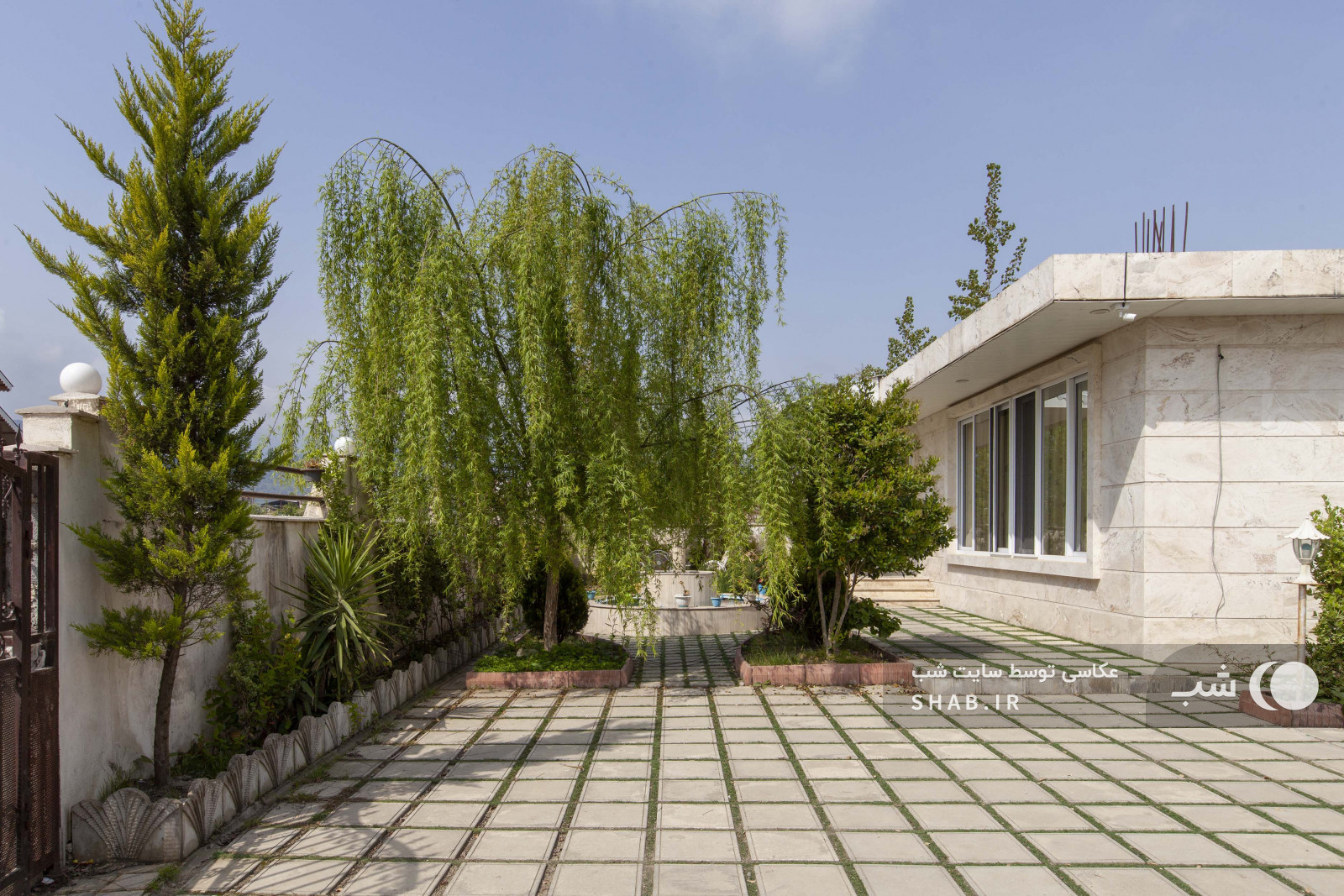 حیاط