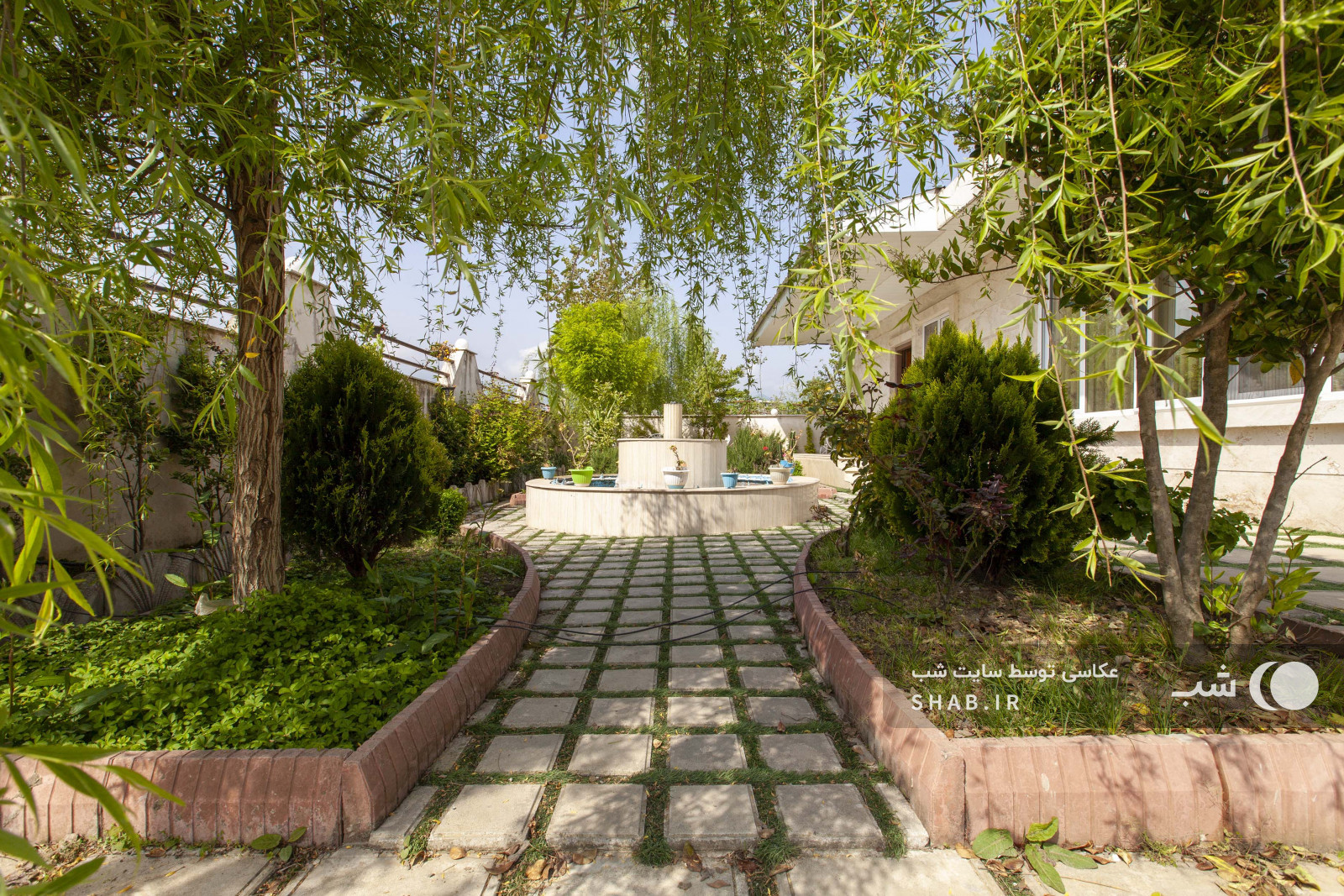 حیاط