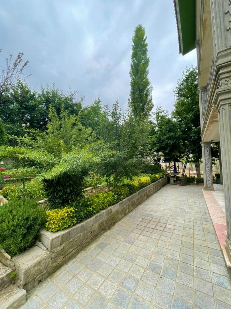 حیاط