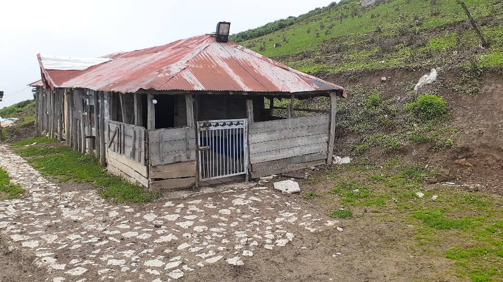 نمای ساختمان نمای ساختمان