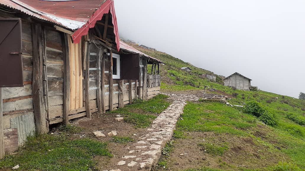 نما و محوطه نما و محوطه