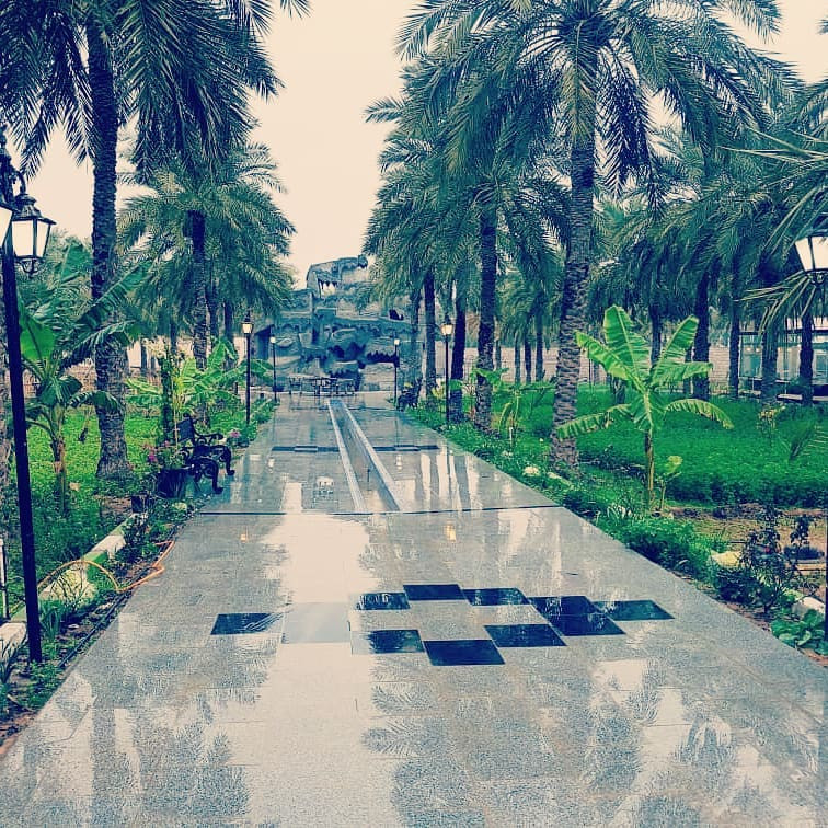 نمای از باغ نمای از باغ