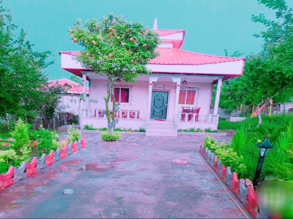 حیاط و نما