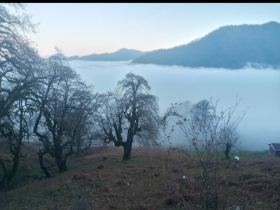 کلبه تنهای ییلاقی