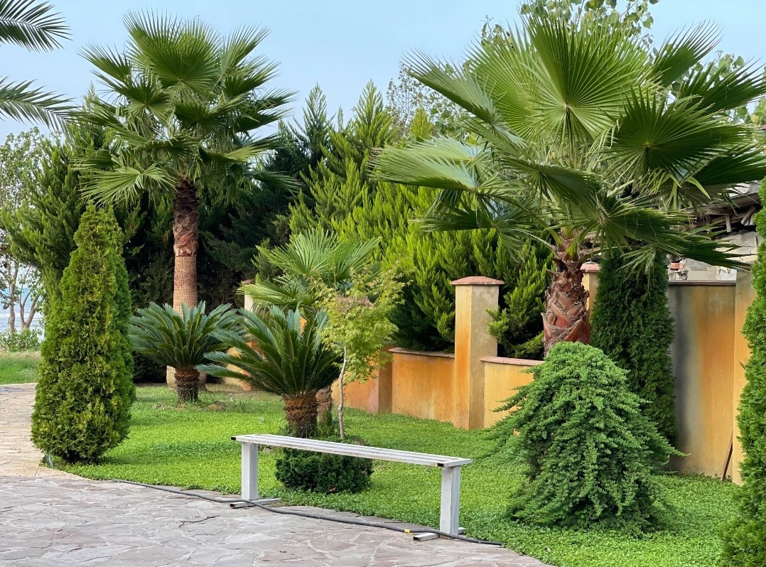 محوطه ویلاها