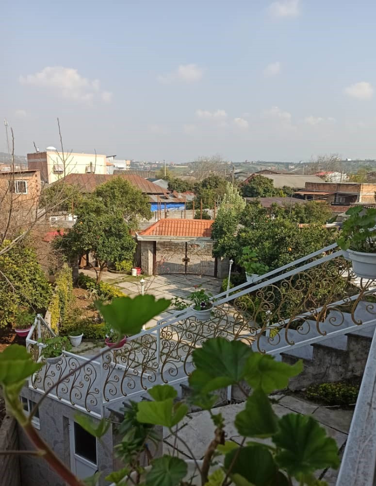 حیاط