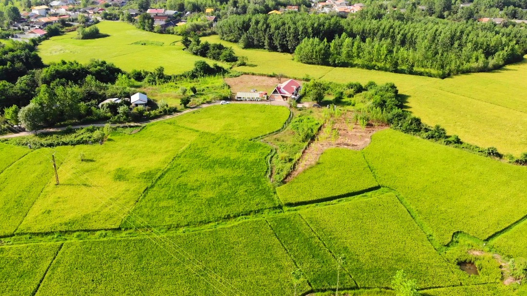تصویر هوایی محوطه ویلا