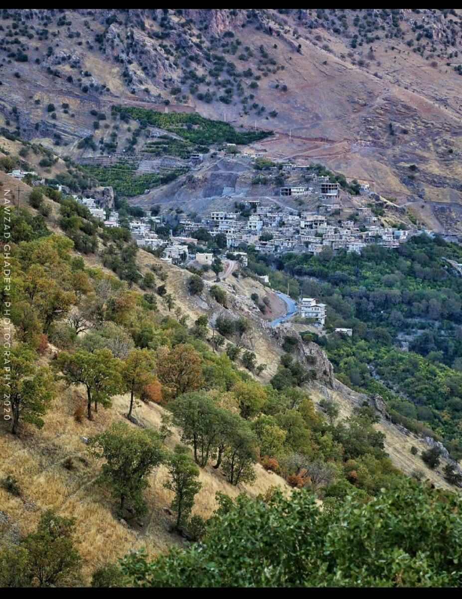نما کلی روستا