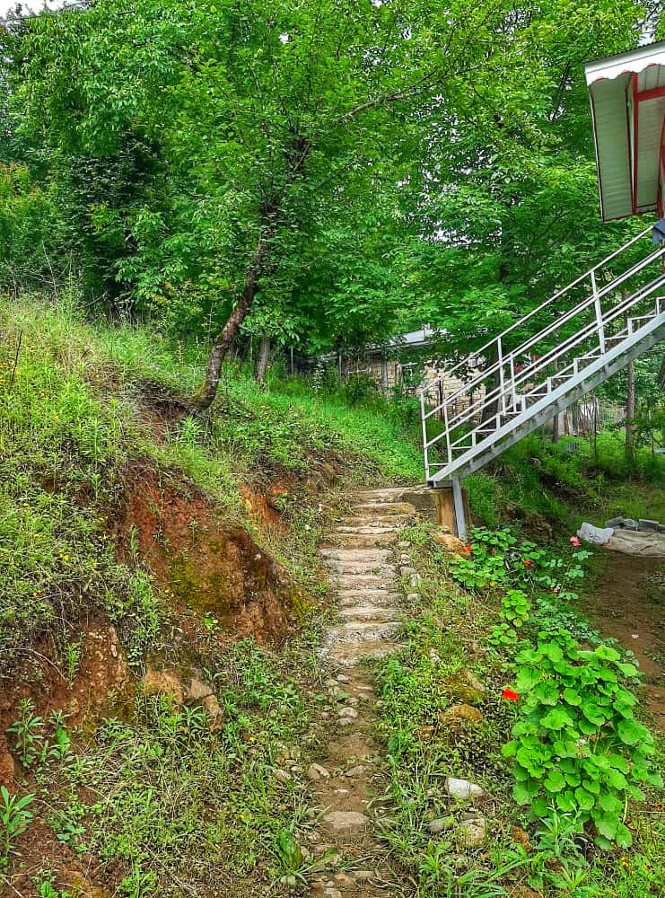 محوطه اطراف