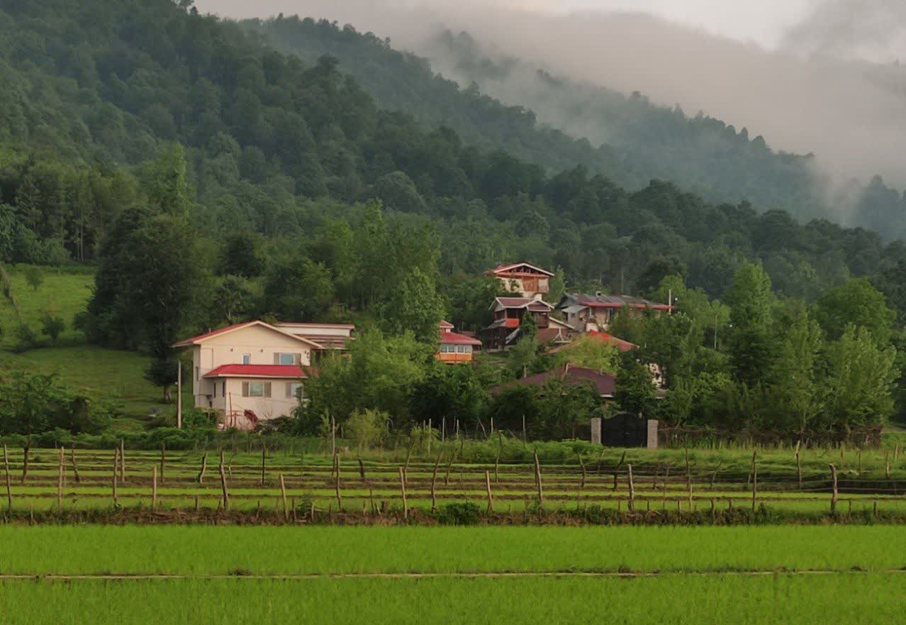 نمای ساختمان از دور اولین ویلا سمت چپ نمای ساختمان از دور اولین ویلا سمت چپ
