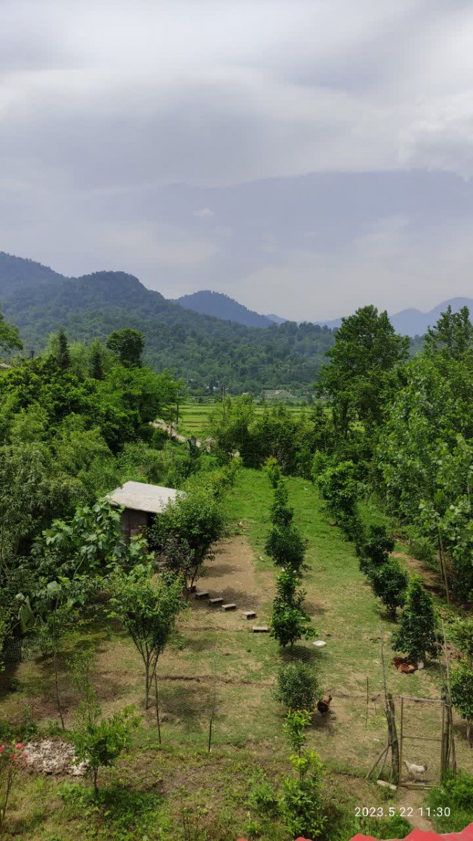 منظره پنجره منظره پنجره