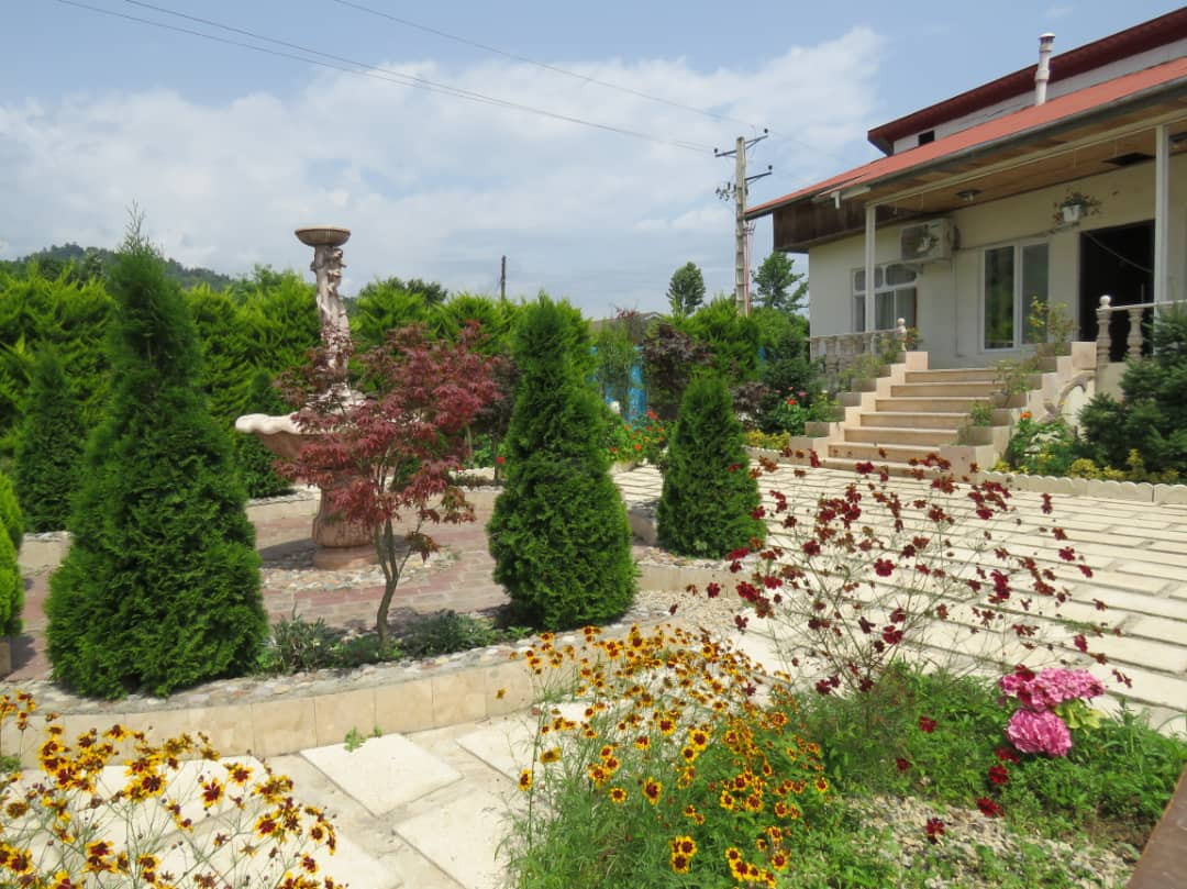 نمای ساختمان