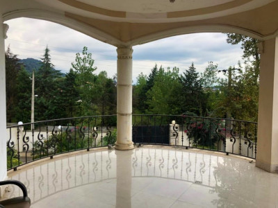 واحد 250 متری لاکچری با تراس سراسری و ویوی جنگل واحد 250 متری لاکچری با تراس سراسری و ویوی جنگل