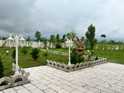 واحد مبله با تراس با منظره شالیزار و جنگل