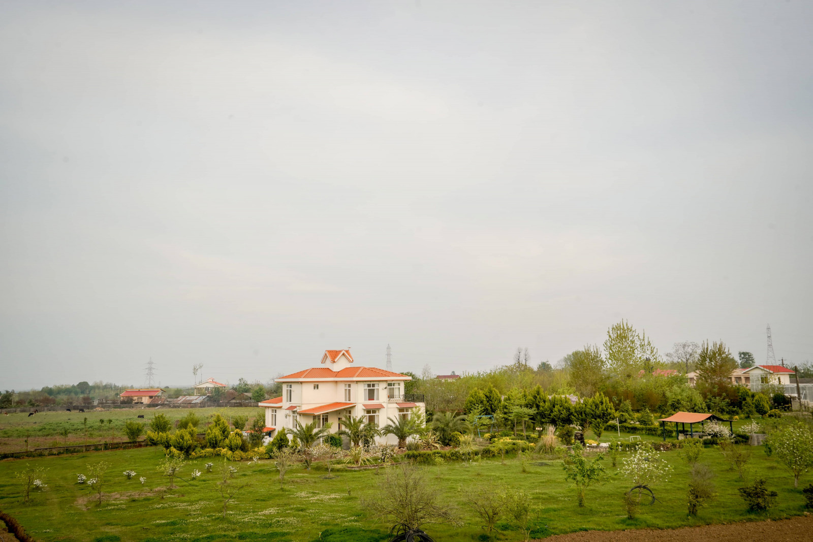 حیاط 