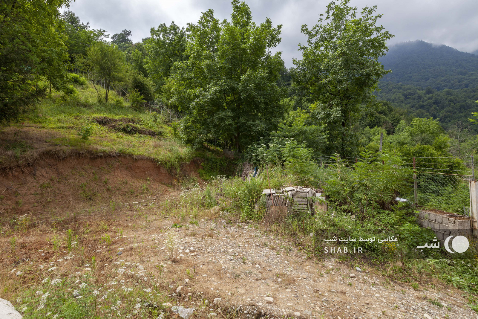 محوطه بیرونی