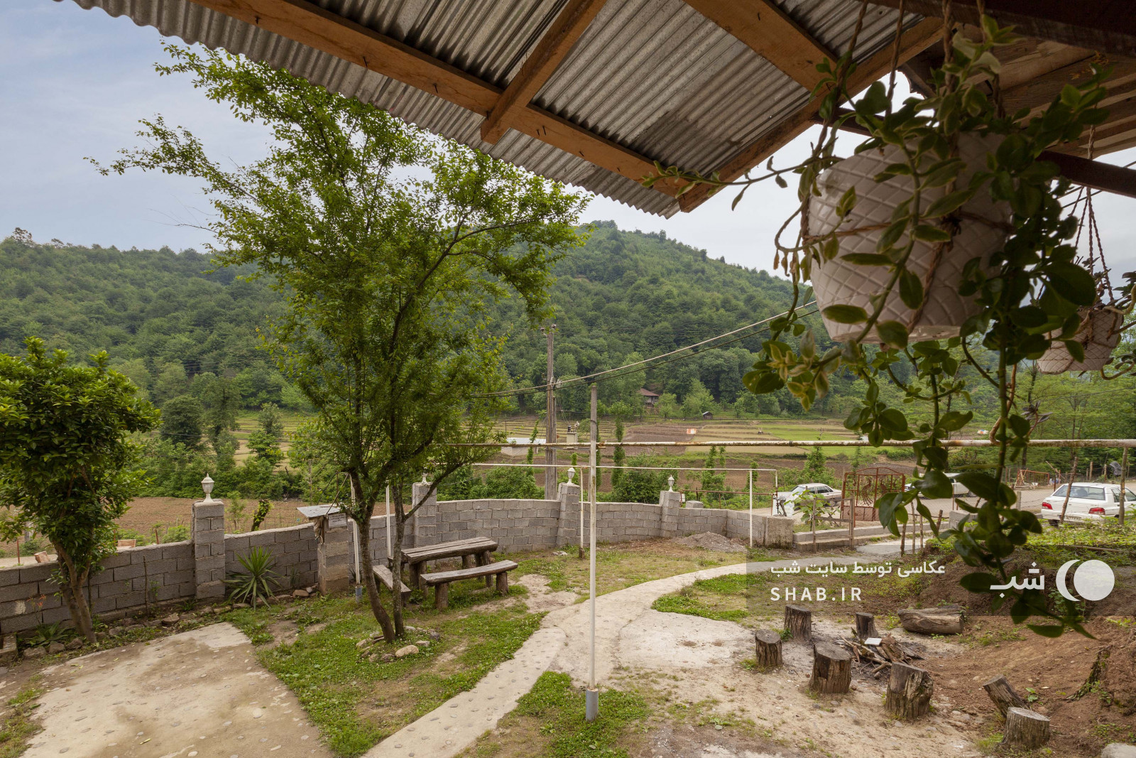 ویوی شالیزار و جنگلهای هیرکانی ویوی شالیزار و جنگلهای هیرکانی