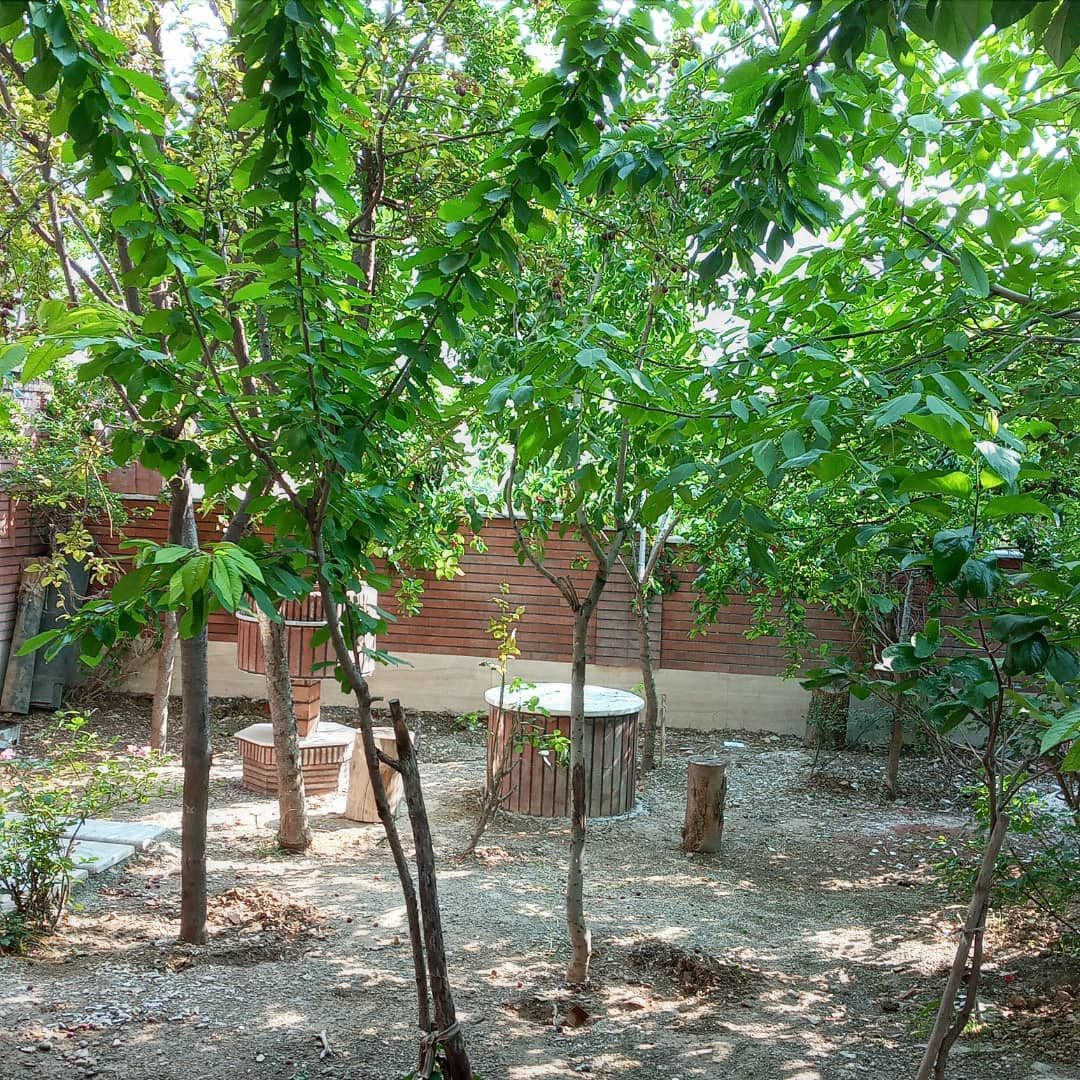 حیاط