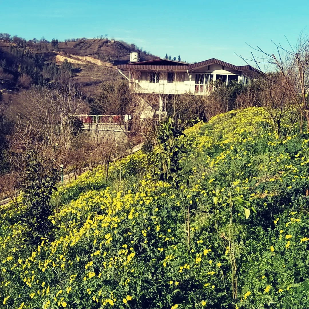 نمای ساختمان