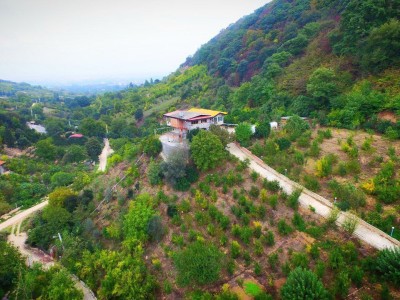 ویلا جنگلی انارستان