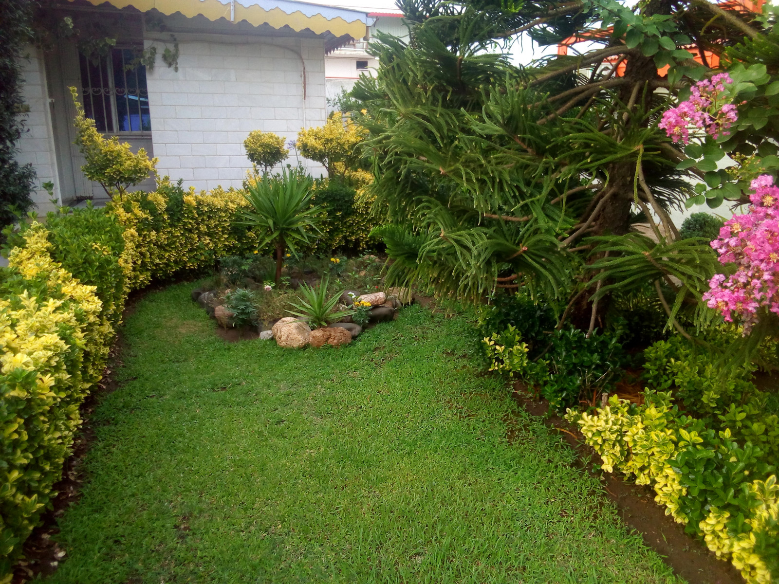 حیاط نمایروبروویلا