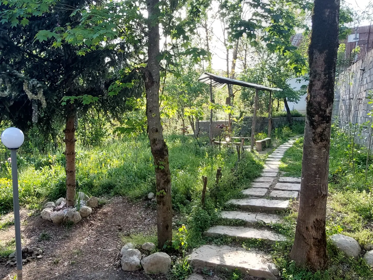 نمای حیاط