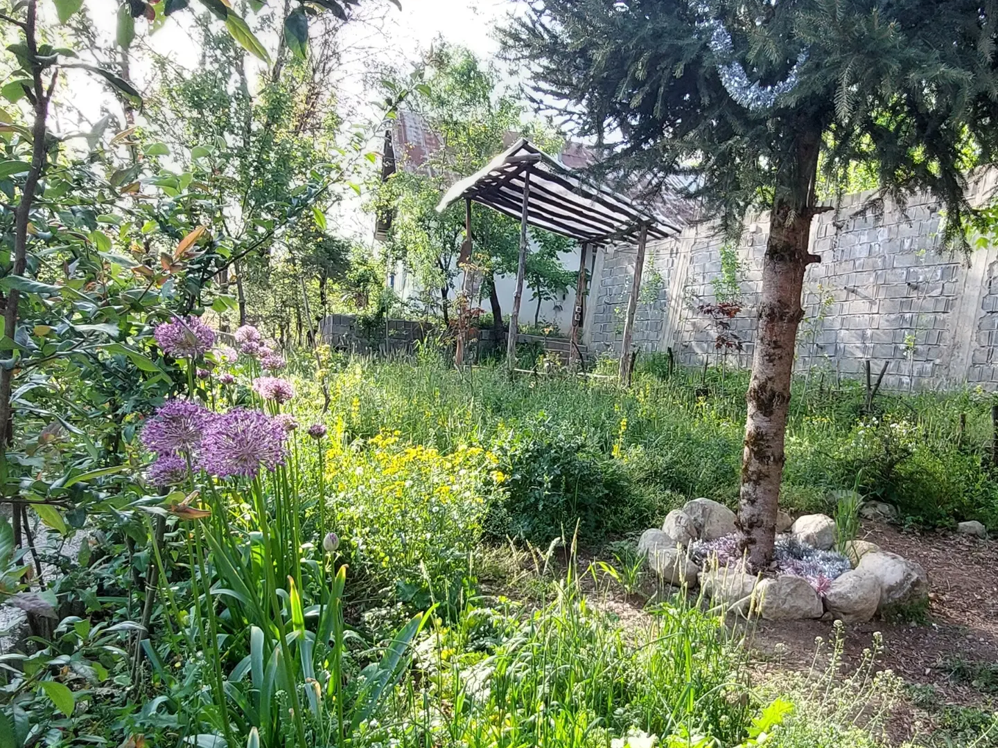 نمای حیاط