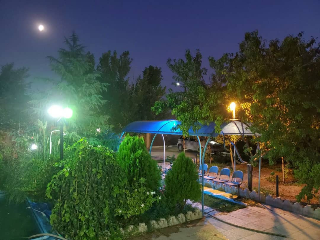 حیاط