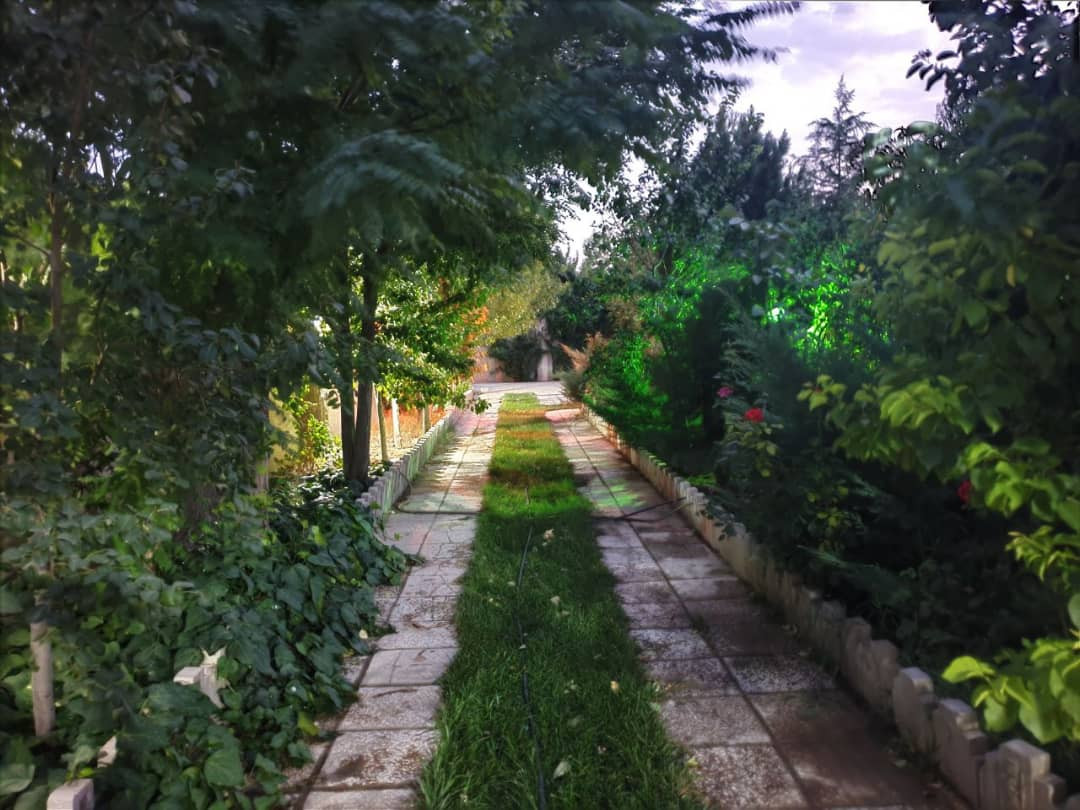 حیاط
