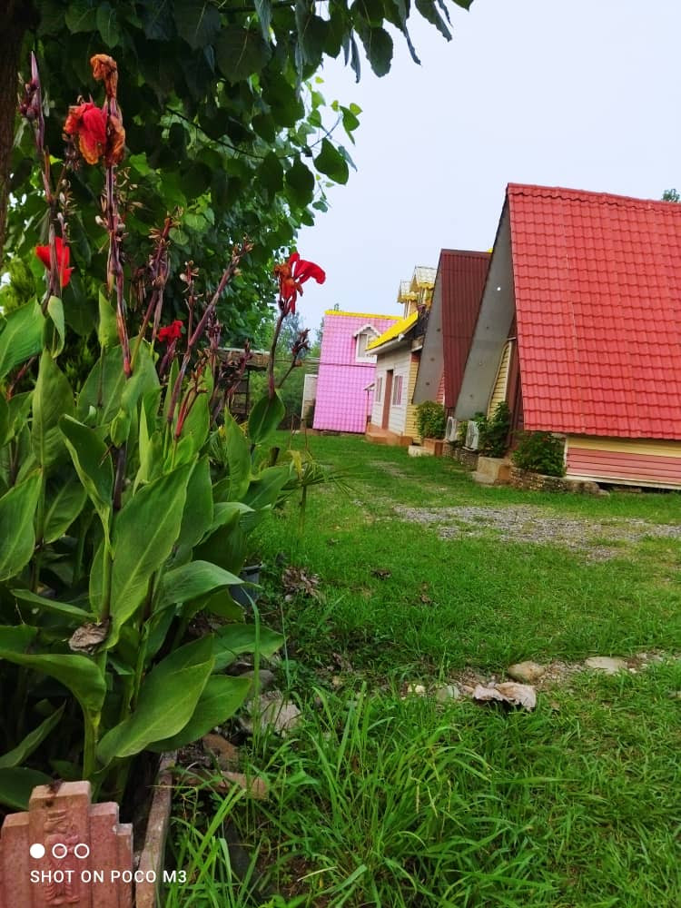 محوطه محوطه