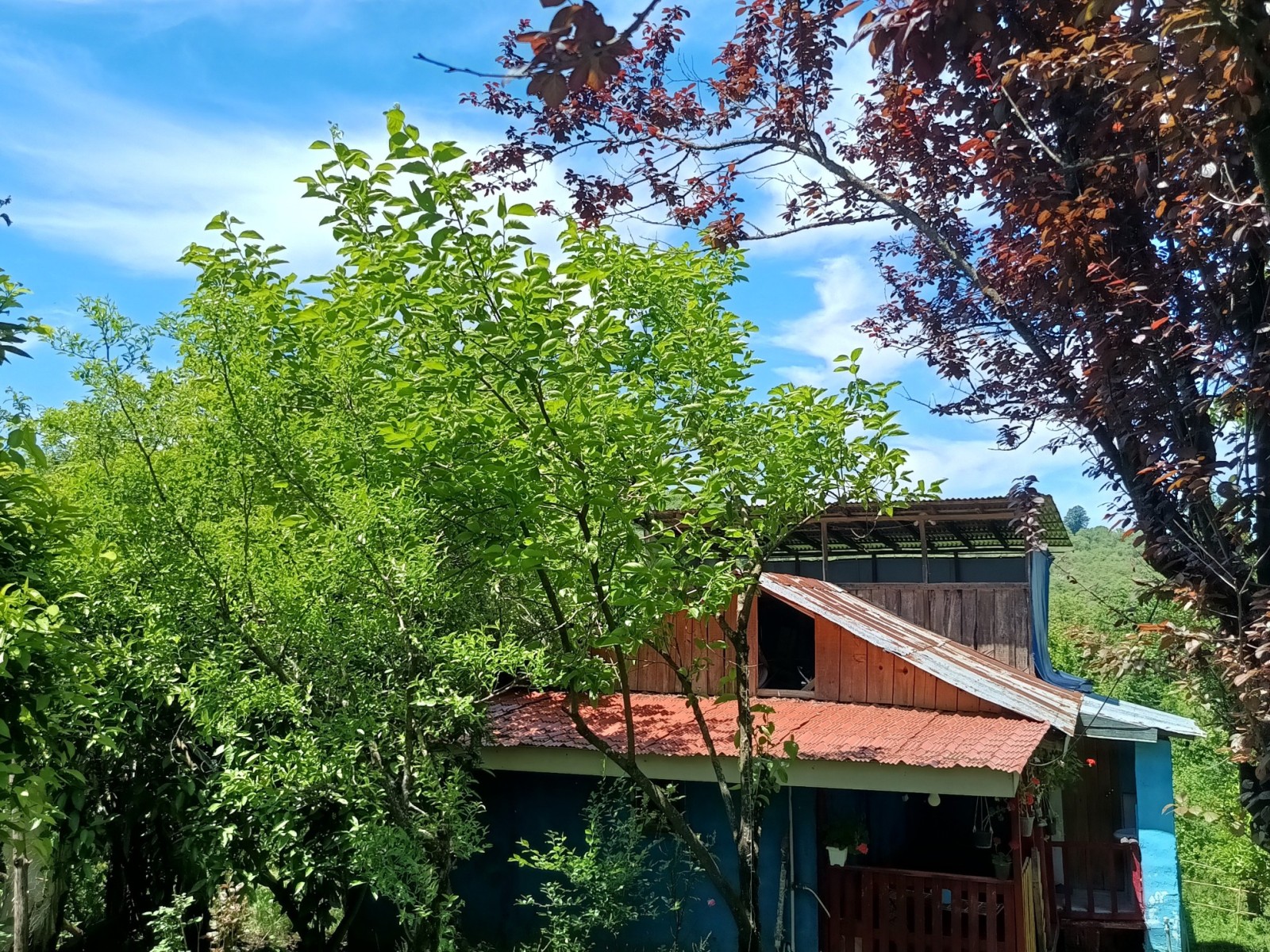 نمای بیرونی ساختمان