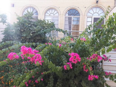 واحد دو خوابه طاهری در مرکز شهر