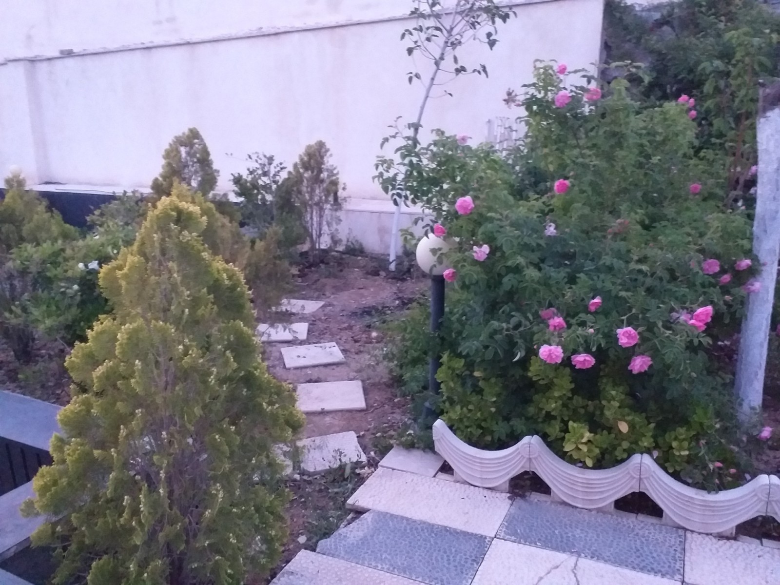 نمای بیرونی ساختمان