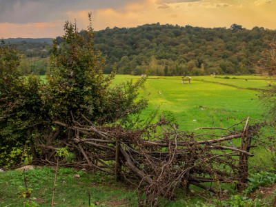 دربست با تراس نزدیک به جنگل ،شالیزار و رودخانه دربست با تراس نزدیک به جنگل ،شالیزار و رودخانه