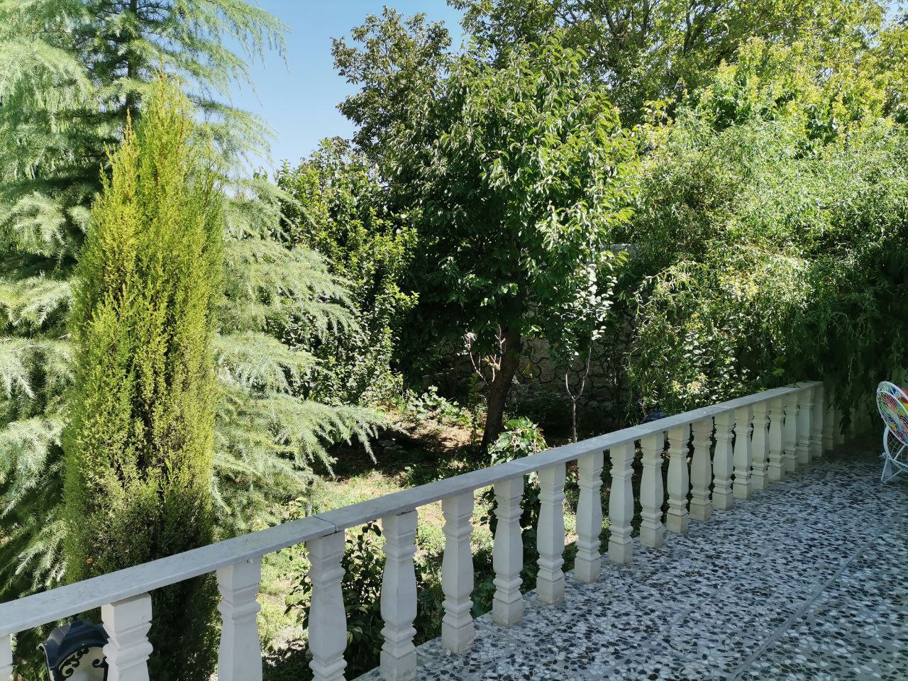 باغچه باغچه