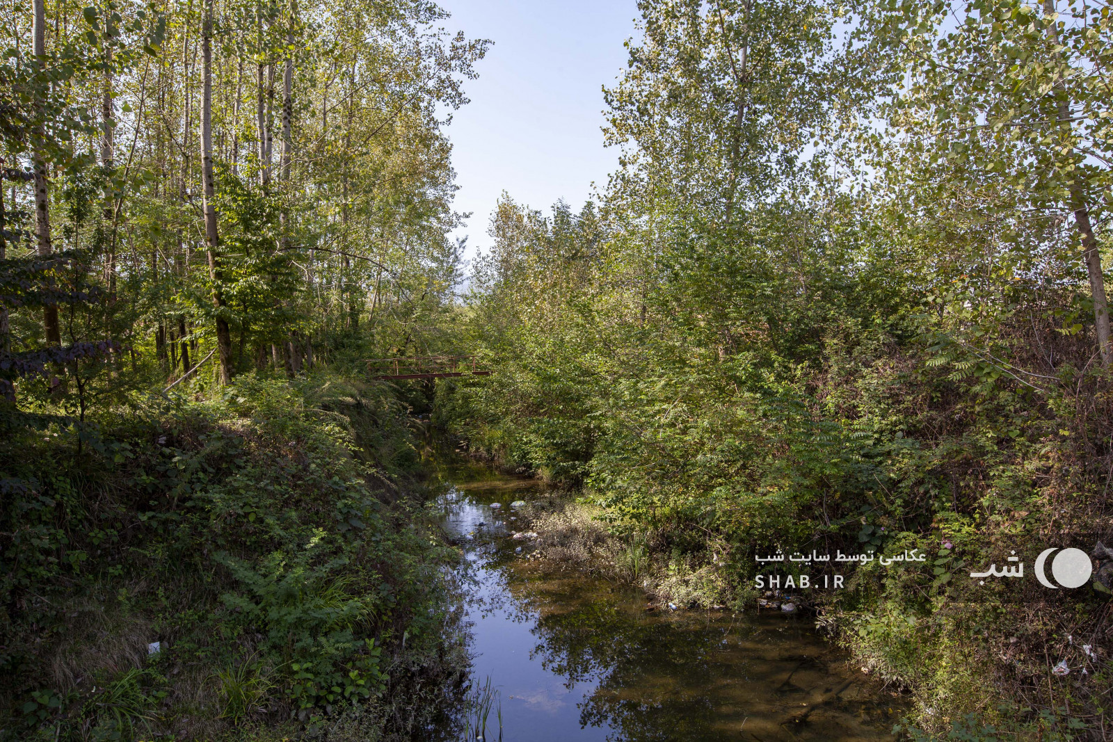محوطه اطراف اقامتگاه