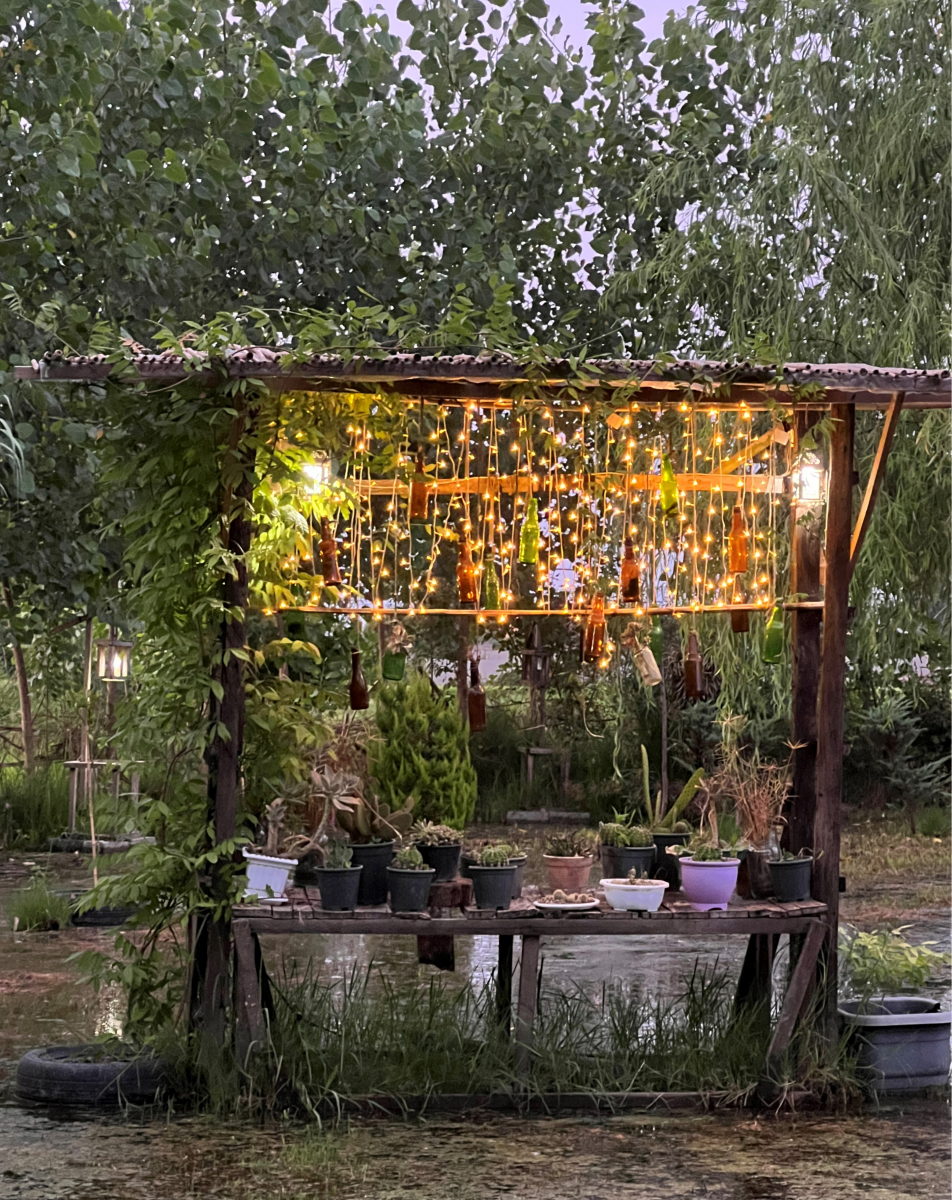 محوطه باغ محوطه باغ