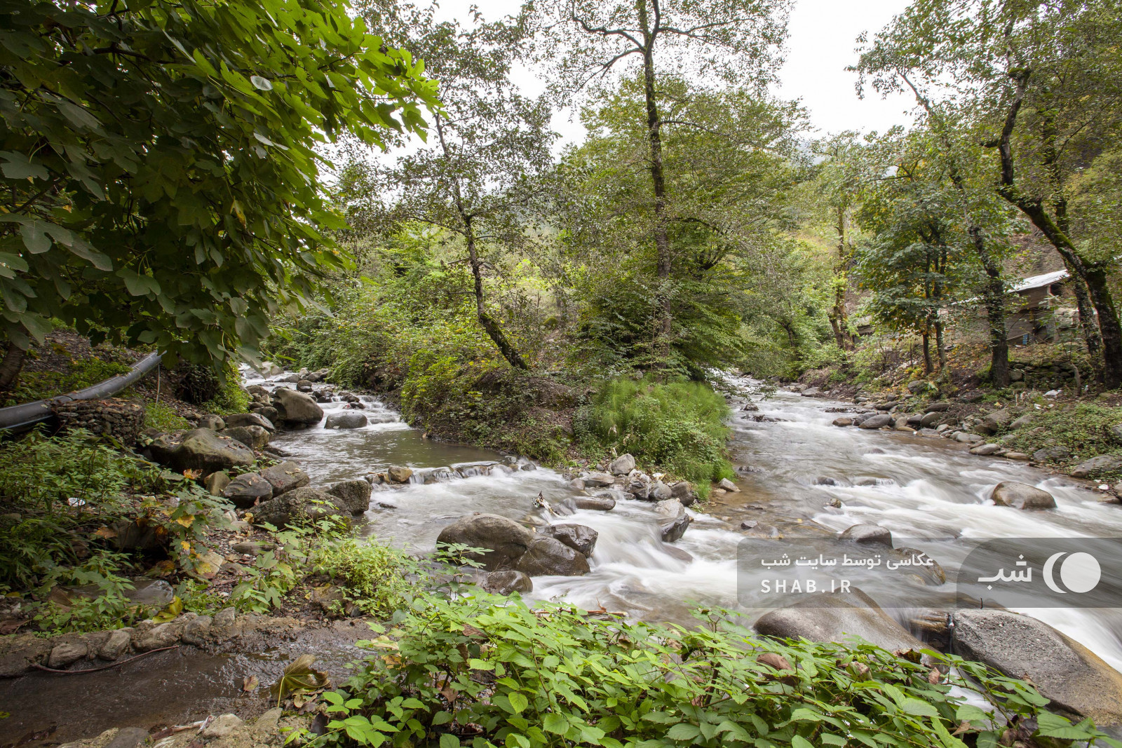 محوطه اقامتگاه