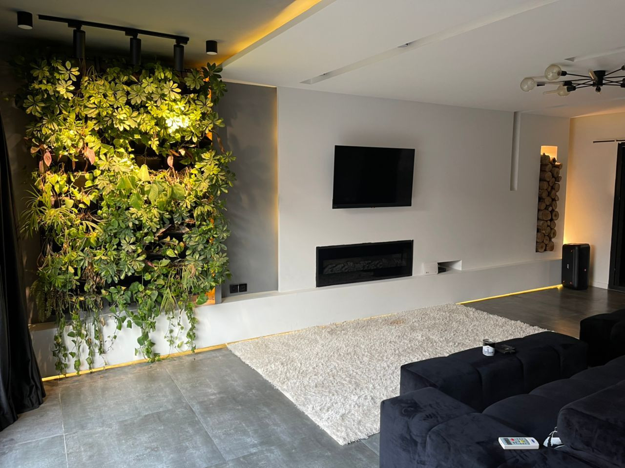 اتاق پذیرایی