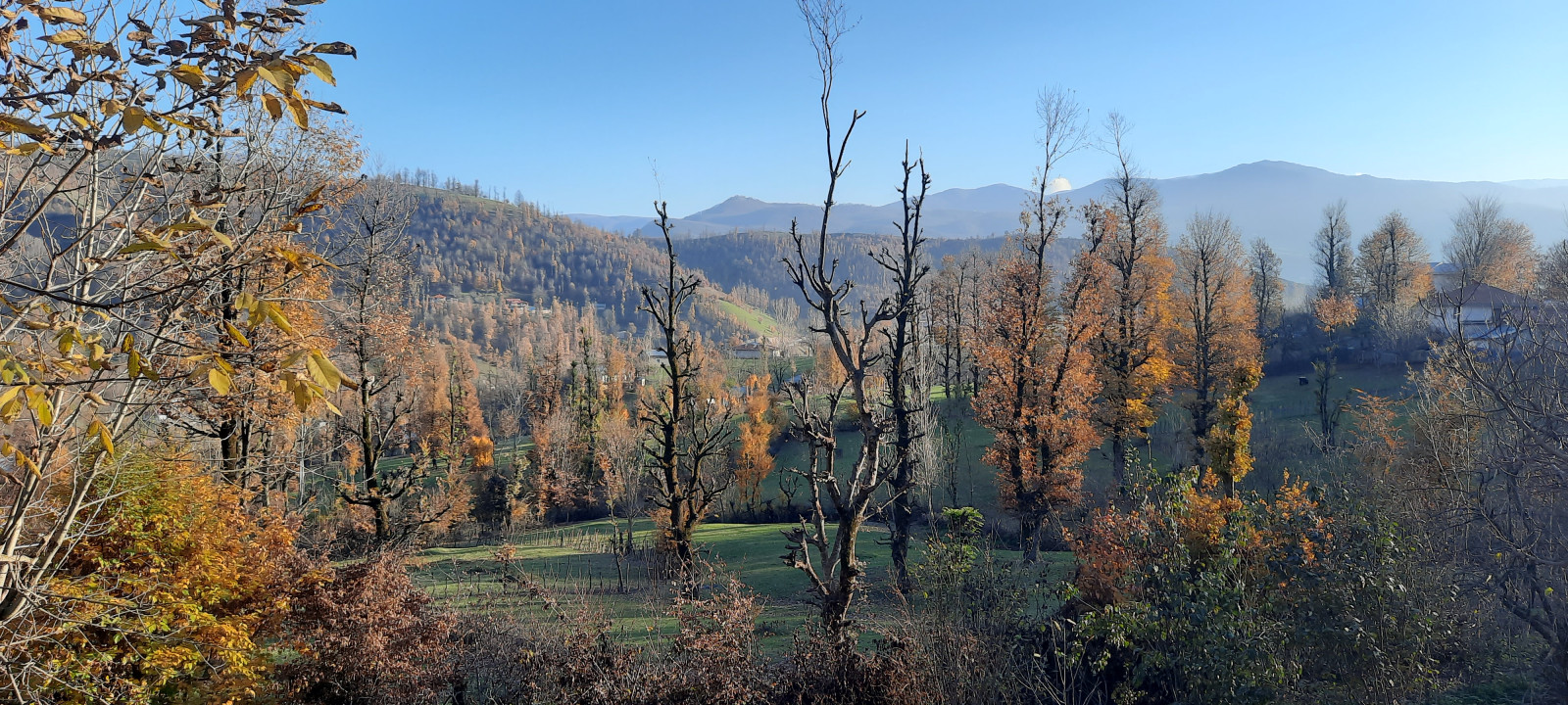 ویو پاییز ویو پاییز