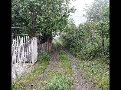 ویلای دنج تک خواب در دل جنگل