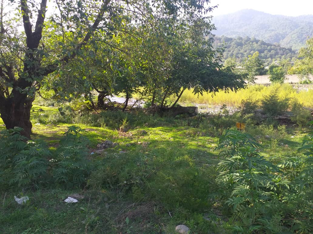 محوطه محوطه