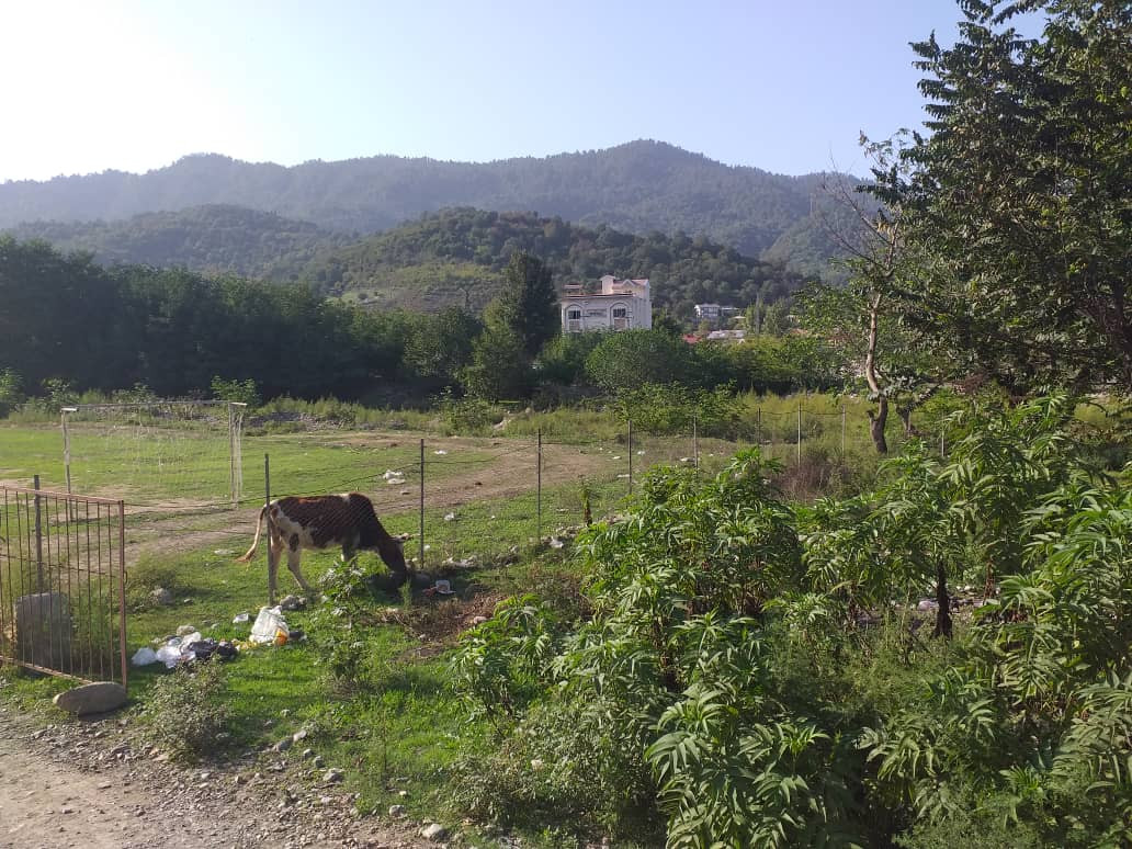 محوطه محوطه