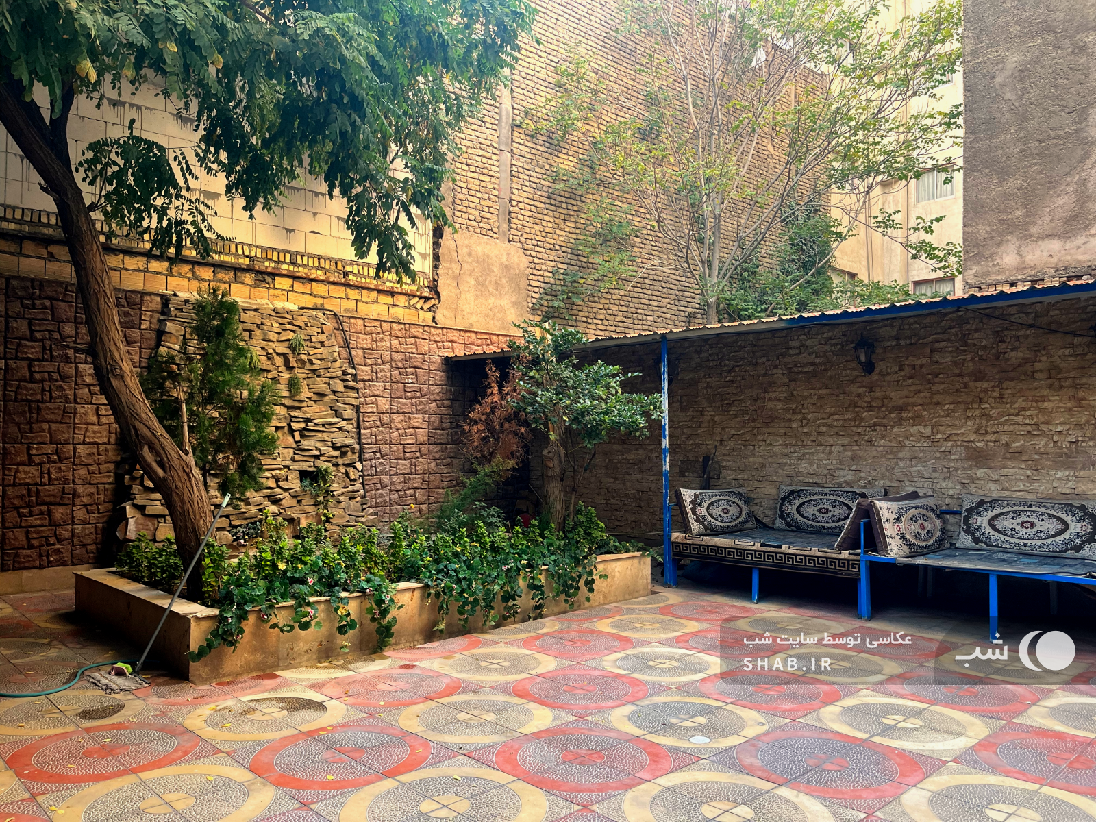 حیاط