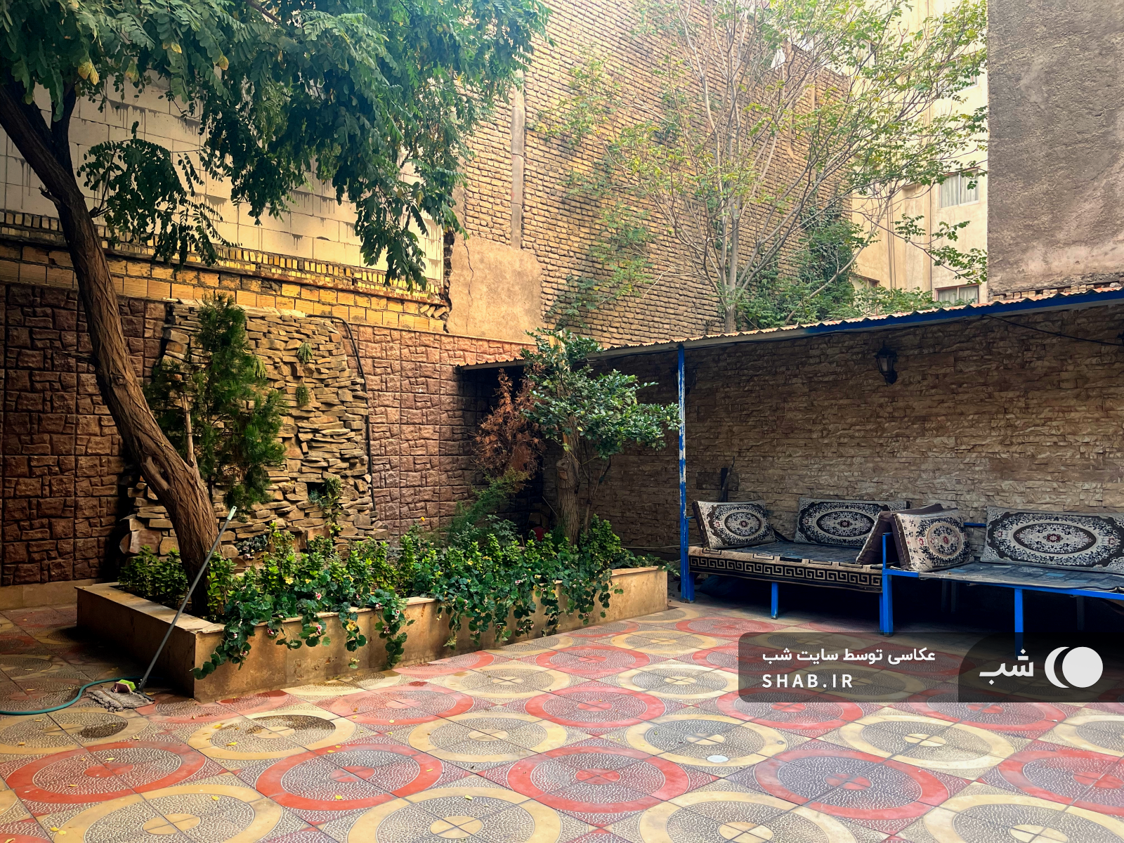حیاط